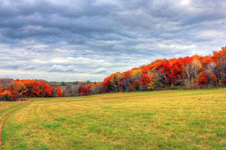 Deerfield, Wisconsin Homes for Sale & Real Estate