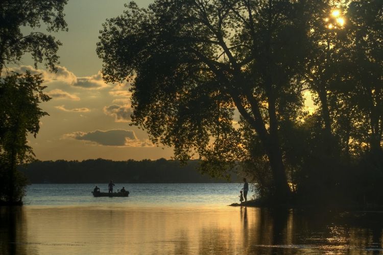 McFarland, WI Homes for Sale & Real Estate